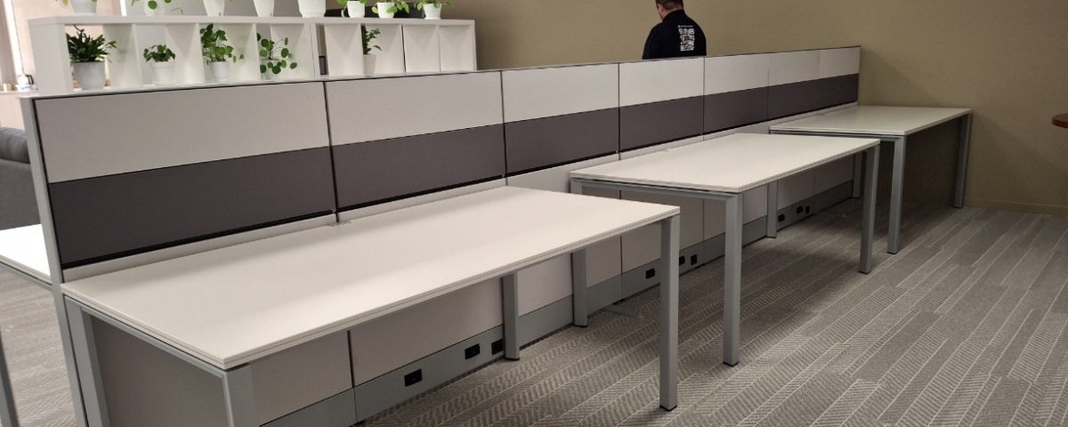 Solomon America (10)