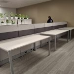 Solomon America (10)