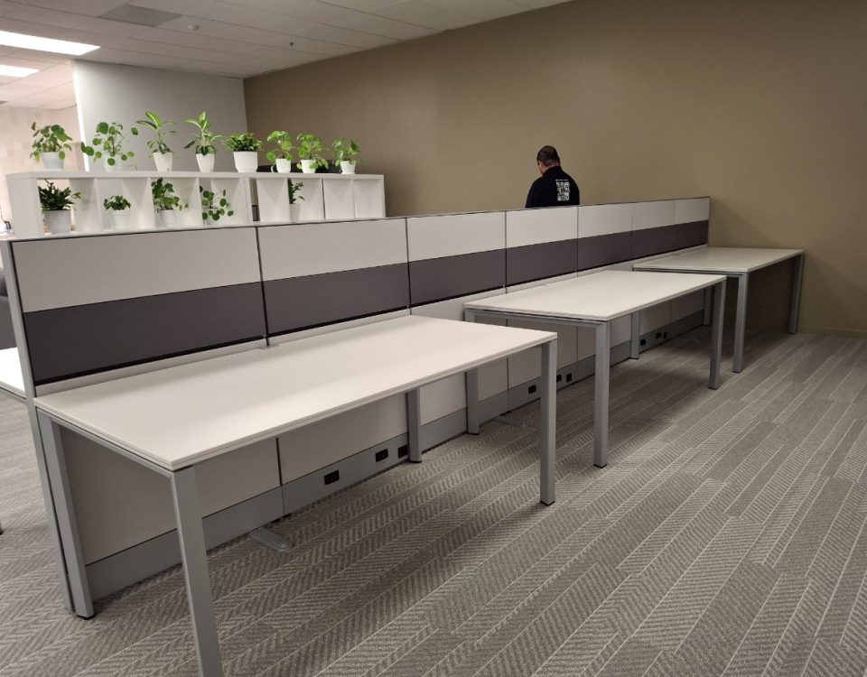 Solomon America (10)